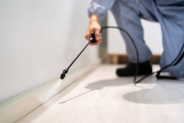 Licensed Rodent Control service in Brien County County, IA - Nex Pest Control